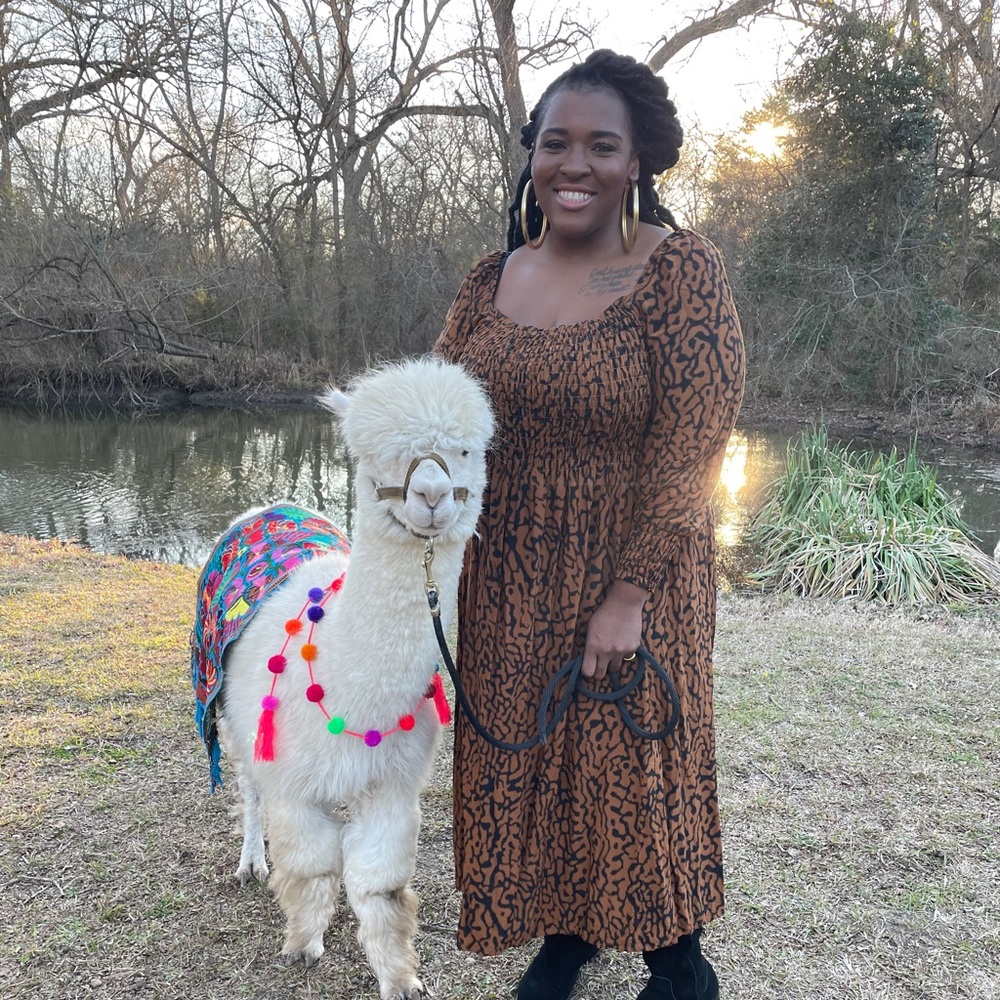 Animal print long sleeve dress